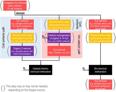 Direct Methanation of Biogas—Technical Challenges and Recent Progress